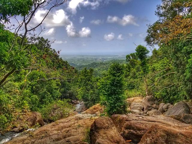 El Yunque National Forest